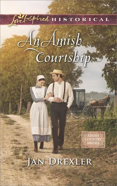 Jan Drexler An Amish Courtship обложка книги