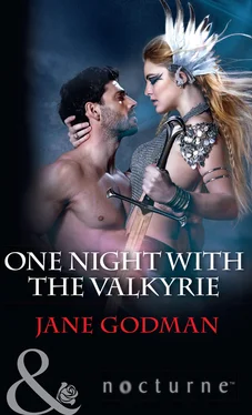 Jane Godman One Night With The Valkyrie обложка книги
