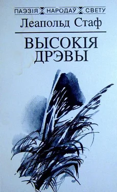 Леапольд Стаф Высокія дрэвы обложка книги