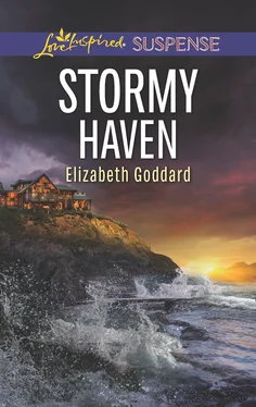 Elizabeth Goddard Stormy Haven обложка книги