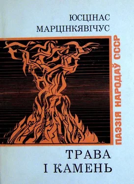 Юсцінас Марцінкявічус Трава і камень обложка книги