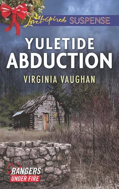 Virginia Vaughan Yuletide Abduction обложка книги