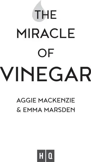 The Miracle of Vinegar - изображение 1