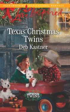 Deb Kastner Texas Christmas Twins обложка книги