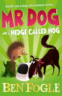 Ben Fogle Mr Dog and a Hedge Called Hog обложка книги