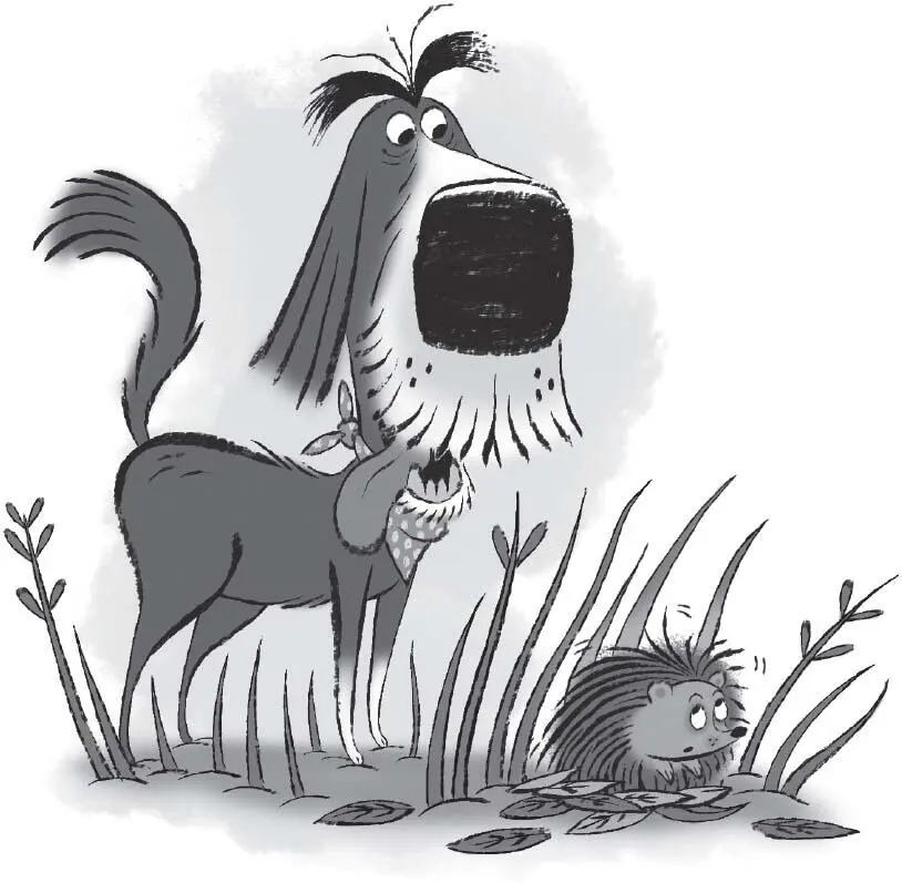 Hairy yes Scary never said Mr Dog The DOG in my name stands for - фото 13