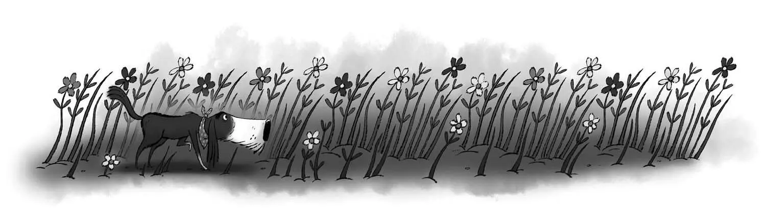Windblown trees pointed inland to where the fields were spread out like - фото 9