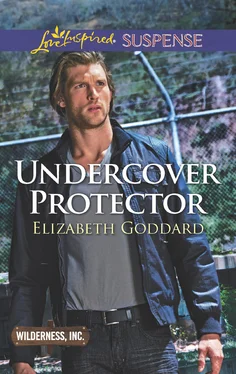 Elizabeth Goddard Undercover Protector обложка книги