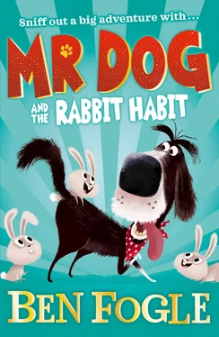 Ben Fogle Mr Dog and the Rabbit Habit обложка книги