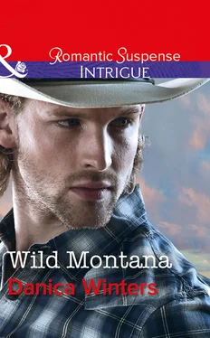 Danica Winters Wild Montana обложка книги