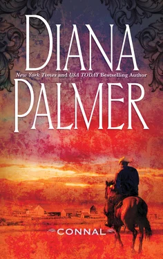 Diana Palmer Connal обложка книги