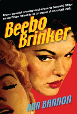 Ann Bannon Beebo Brinker обложка книги