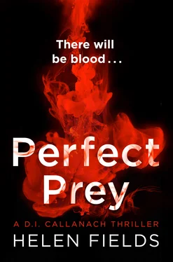 Helen Fields Perfect Prey обложка книги