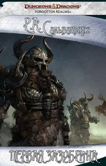 Роберт Сальваторе - Первая Зазубрина