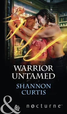 Shannon Curtis Warrior Untamed обложка книги