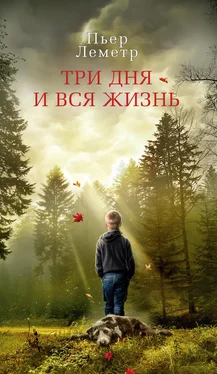 Пьер Леметр Три дня и вся жизнь обложка книги