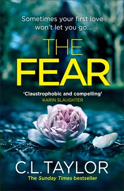 C.L. Taylor The Fear обложка книги