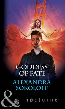 Alexandra Sokoloff Goddess of Fate обложка книги