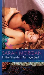 Sarah Morgan - In The Sheikh's Marriage Bed