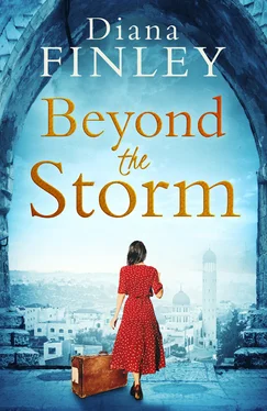 Diana Finley Beyond the Storm обложка книги