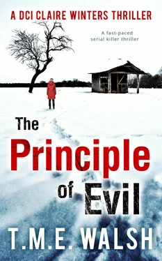 T.M.E. Walsh The Principle of Evil: A Fast-Paced Serial Killer Thriller обложка книги