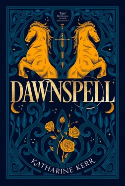 Katharine Kerr Dawnspell обложка книги