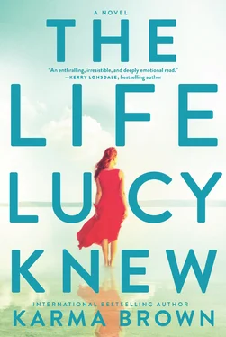 Karma Brown The Life Lucy Knew обложка книги