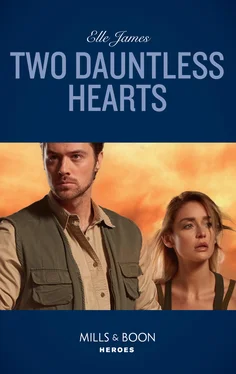 Elle James Two Dauntless Hearts обложка книги