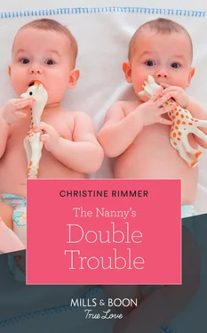 Christine Rimmer The Nanny's Double Trouble обложка книги