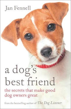 Jan Fennell A Dog’s Best Friend обложка книги