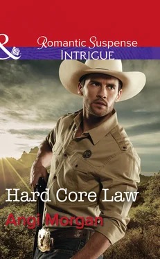 Angi Morgan Hard Core Law обложка книги