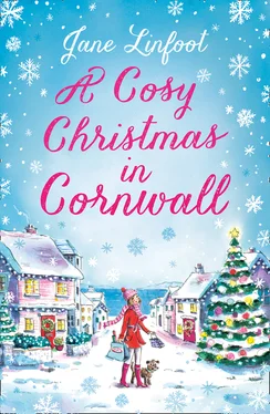 Jane Linfoot A Cosy Christmas in Cornwall обложка книги