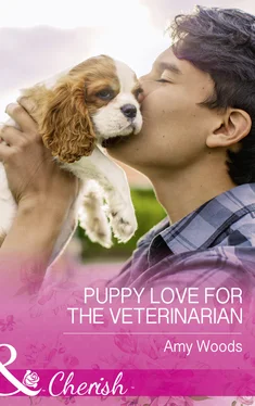 Amy Woods Puppy Love For The Veterinarian обложка книги