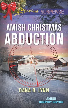 Dana R. Lynn Amish Christmas Abduction обложка книги