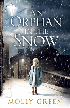 Molly Green An Orphan in the Snow обложка книги