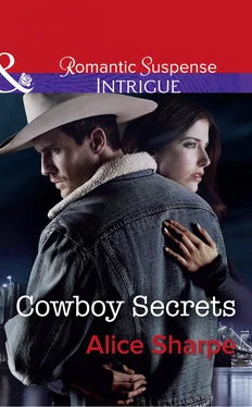 Alice Sharpe Cowboy Secrets обложка книги