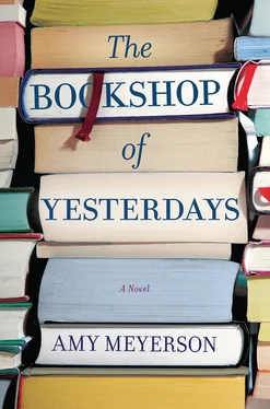 Amy Meyerson The Bookshop Of Yesterdays обложка книги