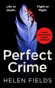 Helen Fields Perfect Crime обложка книги