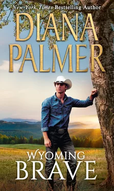 Diana Palmer Wyoming Brave обложка книги