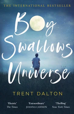Trent Dalton Boy Swallows Universe обложка книги