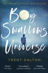 Trent Dalton - Boy Swallows Universe