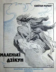 Капітан Марыет - Маленькі дзікун