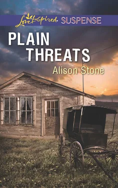 Alison Stone Plain Threats обложка книги