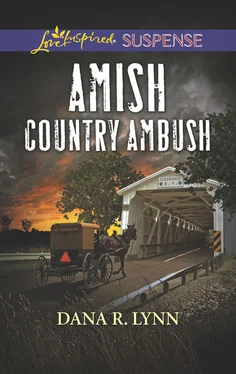 Dana R. Lynn Amish Country Ambush обложка книги