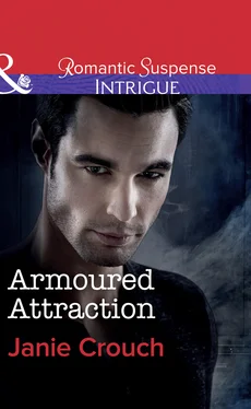 Janie Crouch Armoured Attraction обложка книги