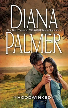 Diana Palmer Hoodwinked обложка книги