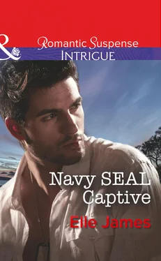Elle James Navy Seal Captive обложка книги