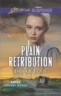 Dana R. Lynn Plain Retribution обложка книги