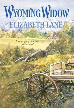 Elizabeth Lane Wyoming Widow обложка книги