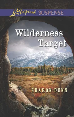 Sharon Dunn Wilderness Target обложка книги